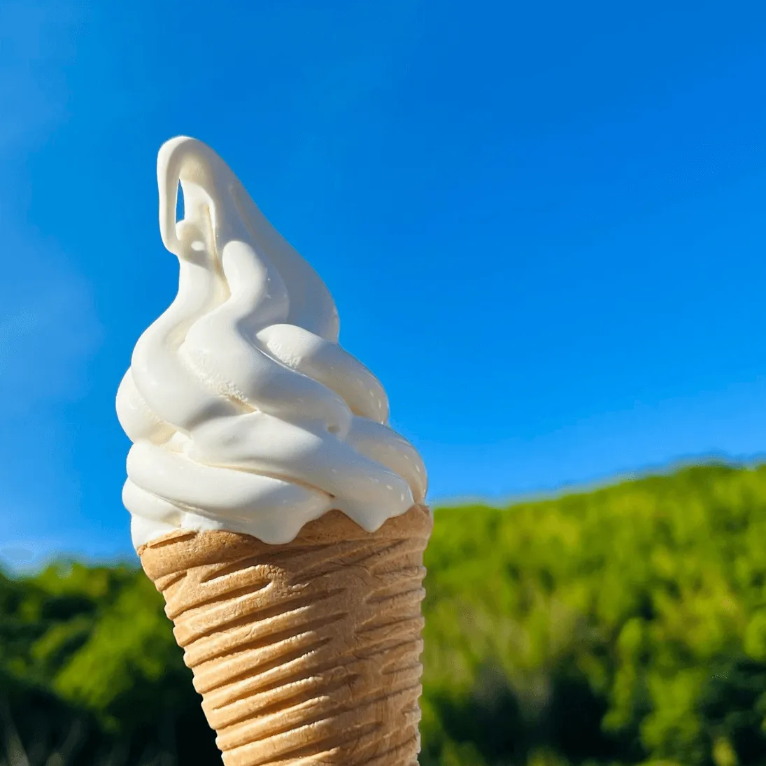 ソフトクリームの写真